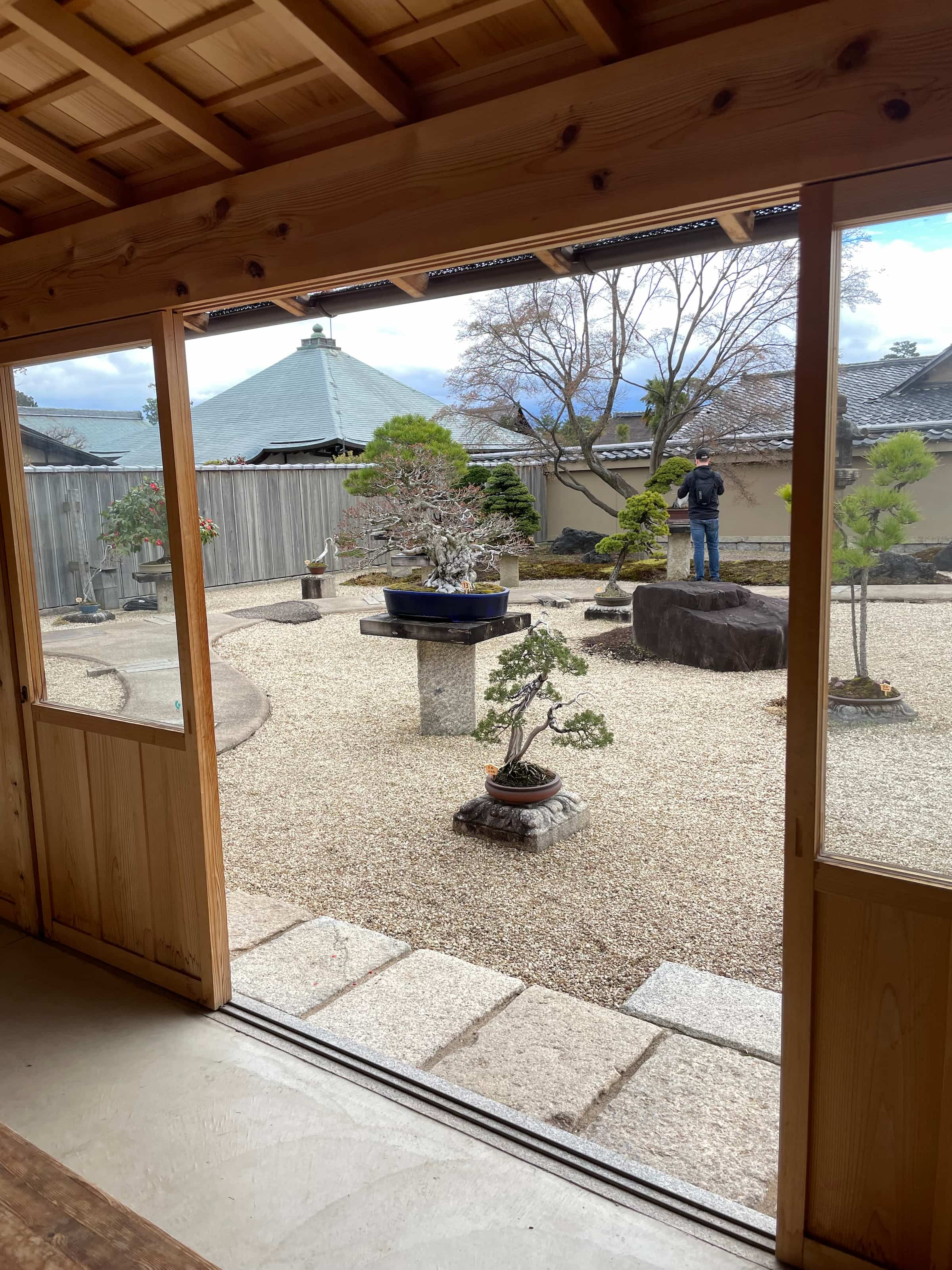 Bonzai garden