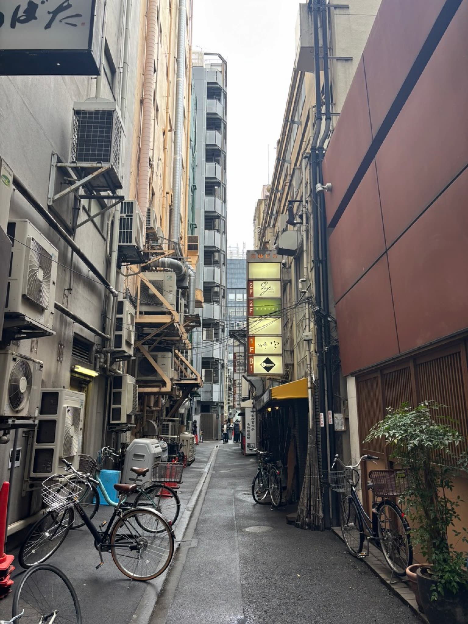 The restaurant was down this cool side alley