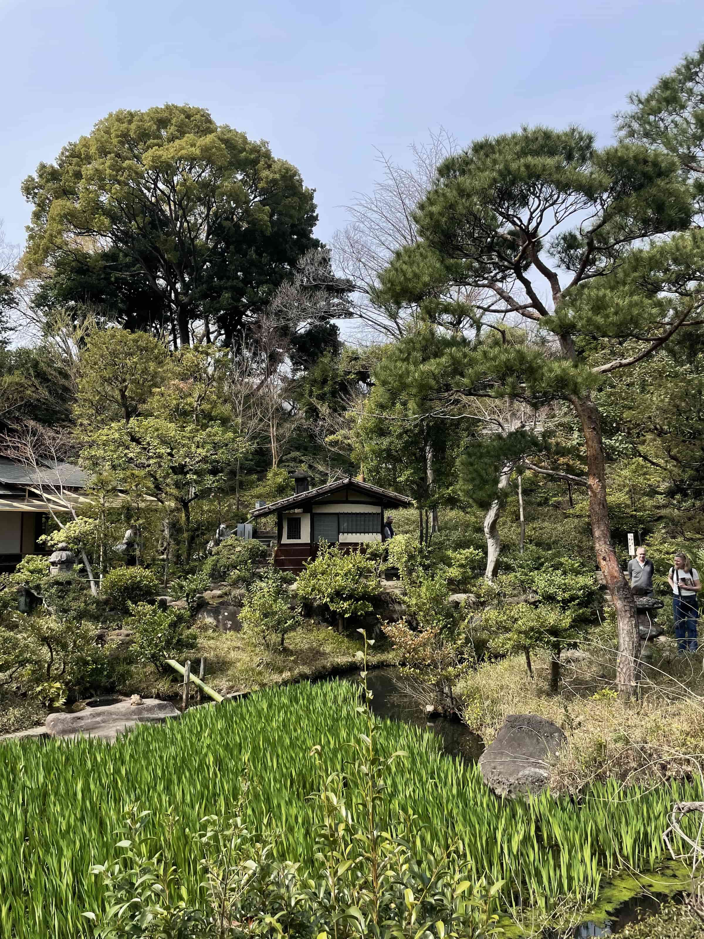 Nezu Grounds
