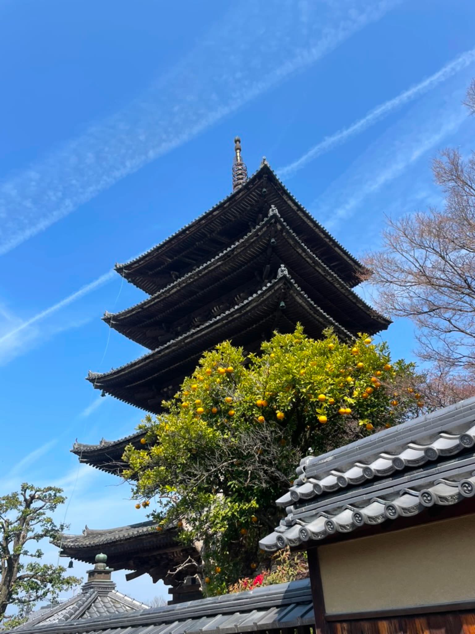 Yasaka Pagoda 2